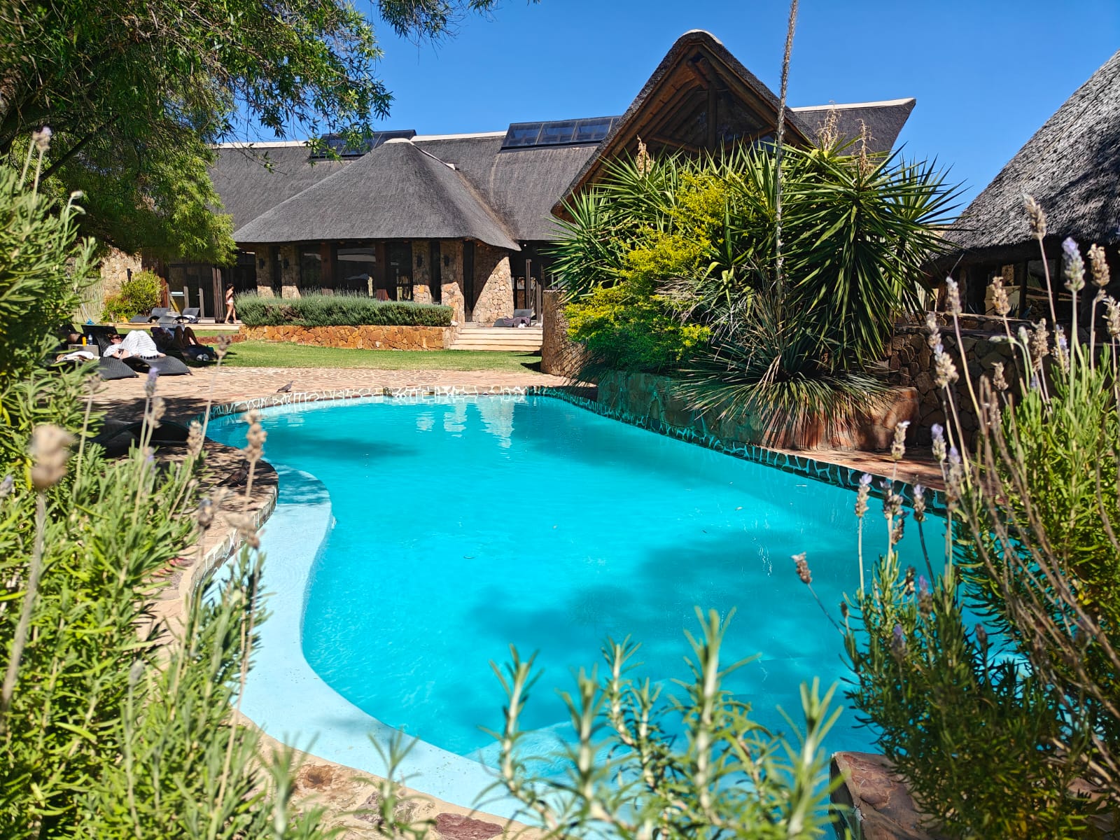 Aquila Game Reserve - Safari 38